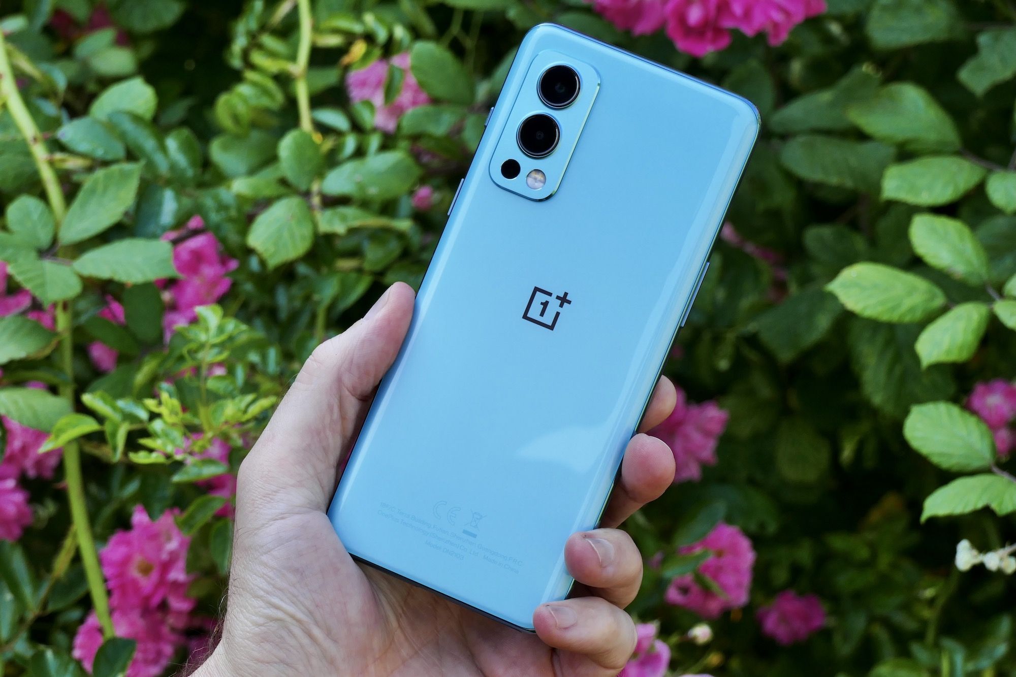 OnePlus Nord 2