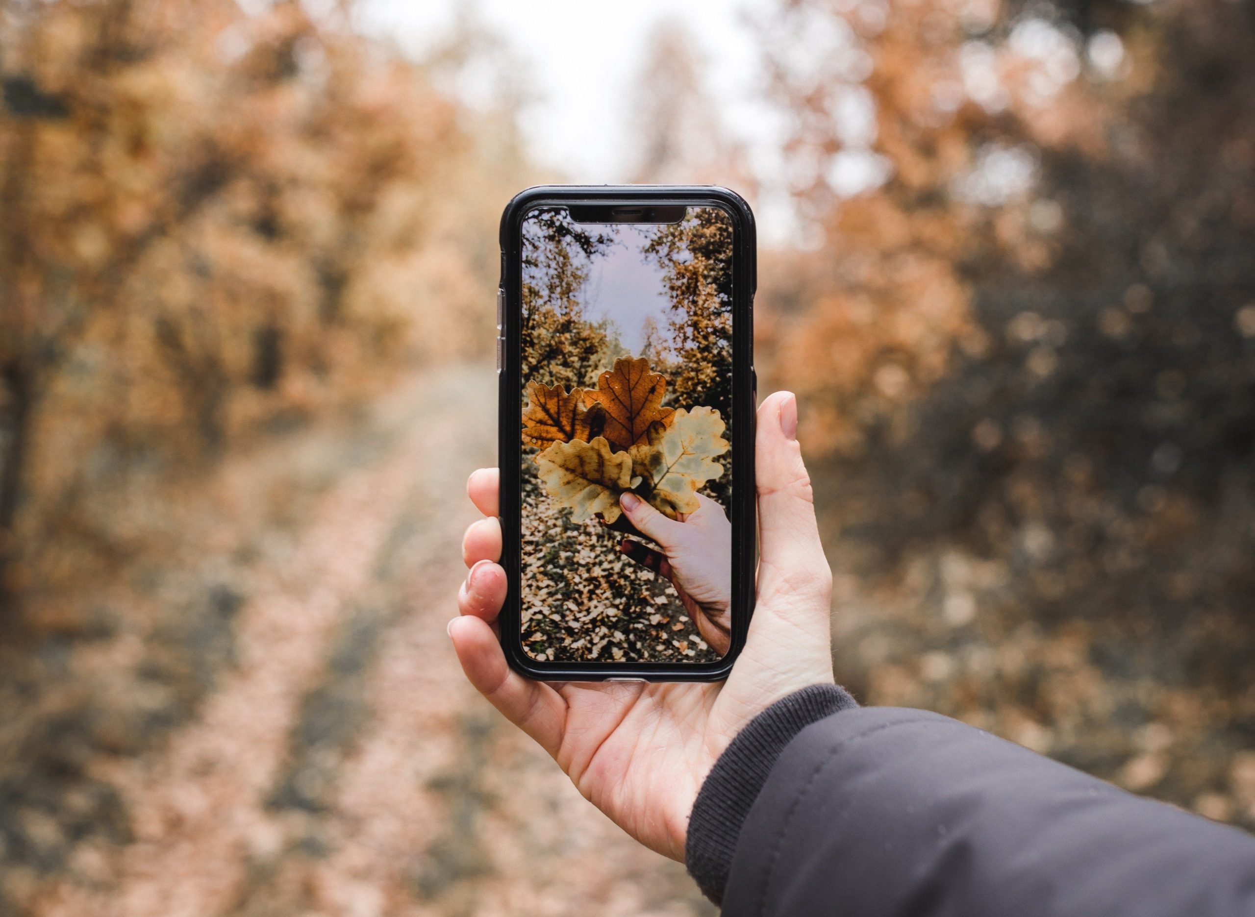 Smartphone photography tips for beginners